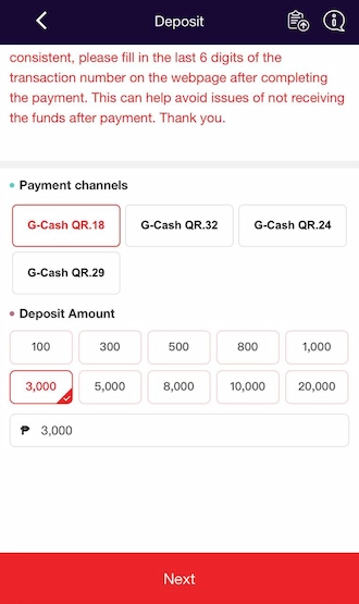 Step 3: Enter the amount you want to deposit into your account. Then click “NEXT”.